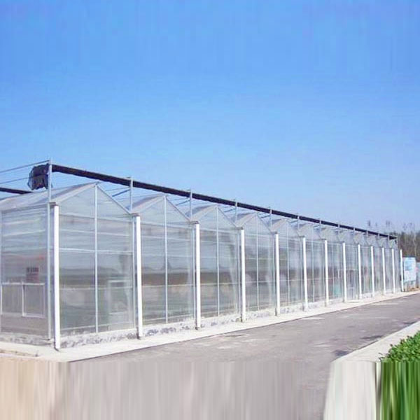 陽(yáng)光板溫室